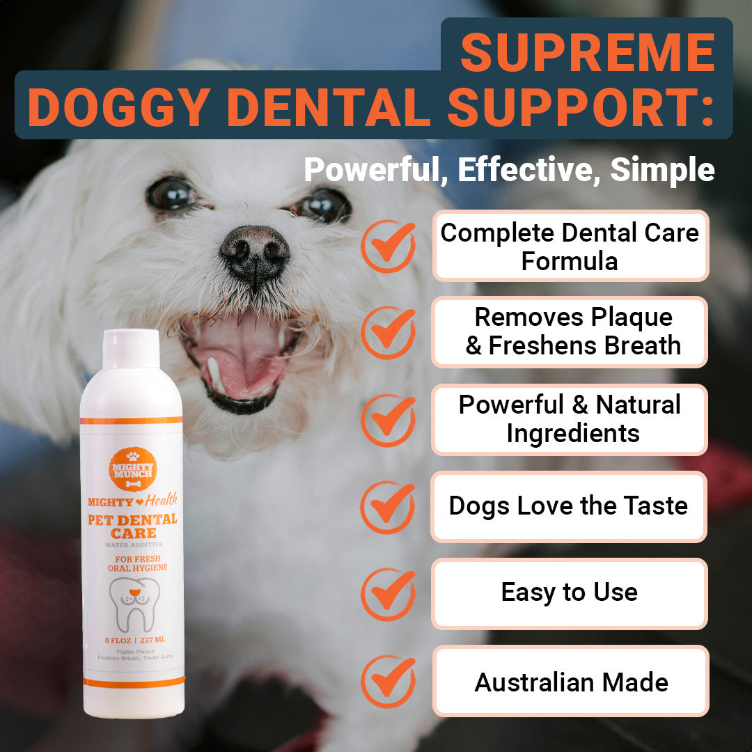 Dental Care (Canada)