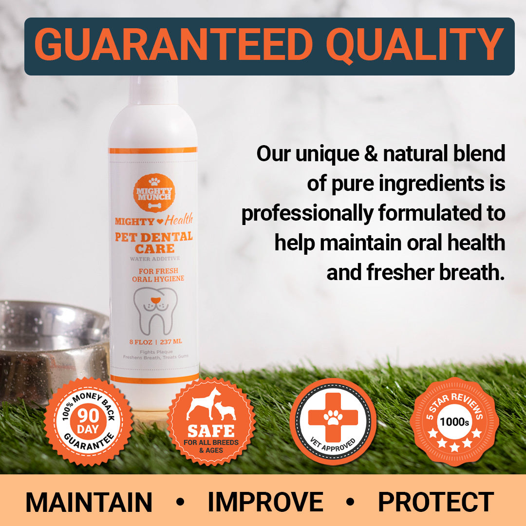 Dental Care (Canada)