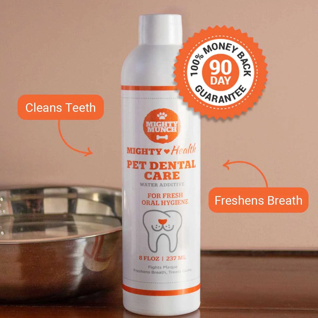 Dental Care (Canada)
