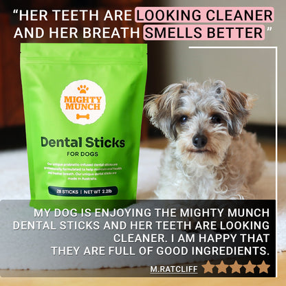 Dental Sticks (US)