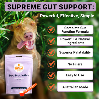 Dog Probiotics (Canada)