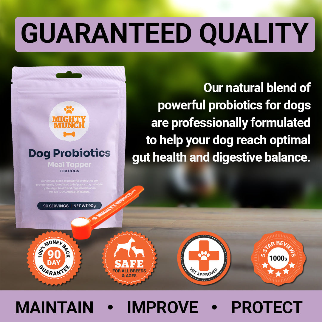 Dog Probiotics (Canada)