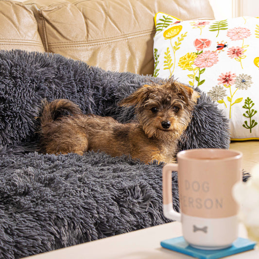 Calming Couch Bed | Calming Dog Bed