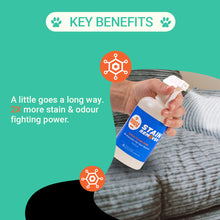 Load image into Gallery viewer, Pet Stain Remover